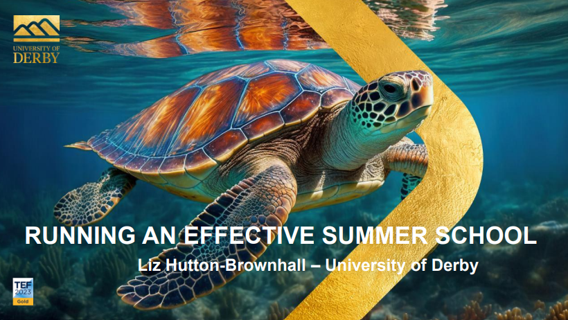 Image of a turtle swimming in azure blue water. Text overlayed reads - Running an Effective Summer School